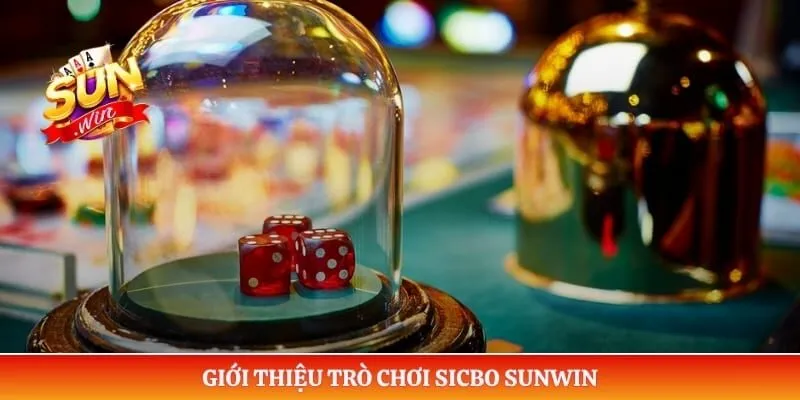 Sicbo Sunwin – Tìm Hiểu Luật Chơi, Cửa Cược Và Cách Tham Gia Giới thiệu trò chơi Sicbo Sunwin